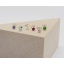 642024 colours.jpg